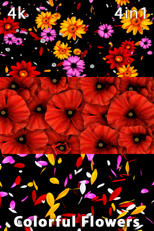 Colorful Flowers 4K (4in1)