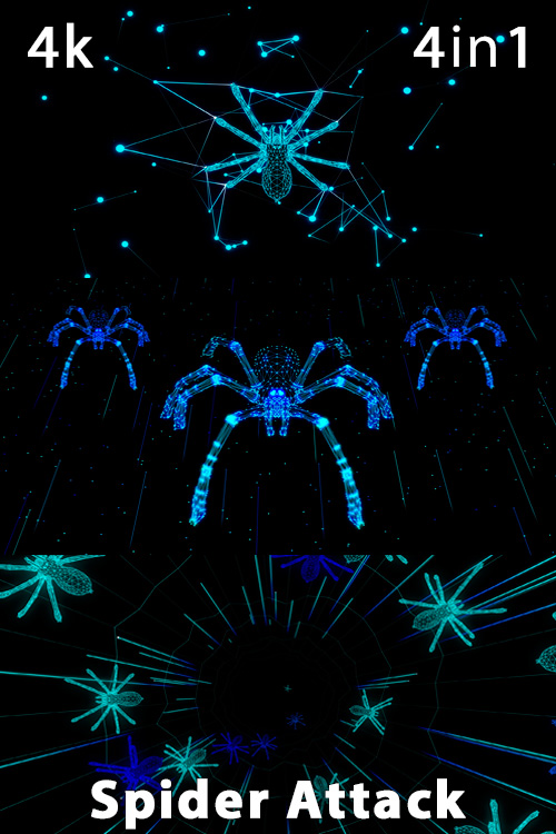 Spider Attack 4K (4in1)