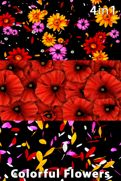 Colorful Flowers (4in1)