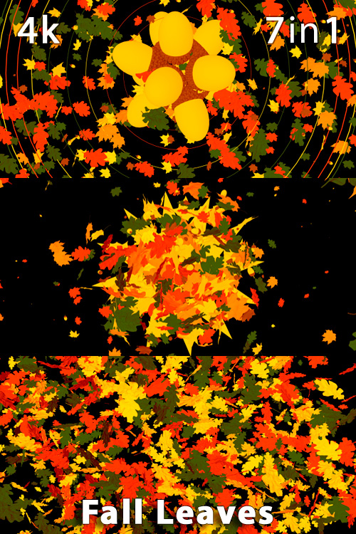 Fall Leaves 4K (7in1)