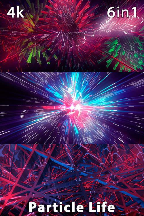 Particle Life 4K (6in1)