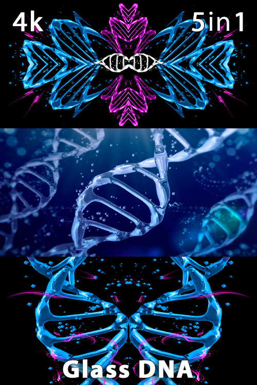 Glass DNA 4K (5in1)