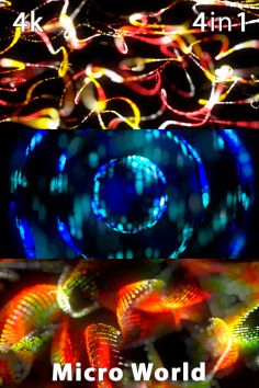 Collection 675